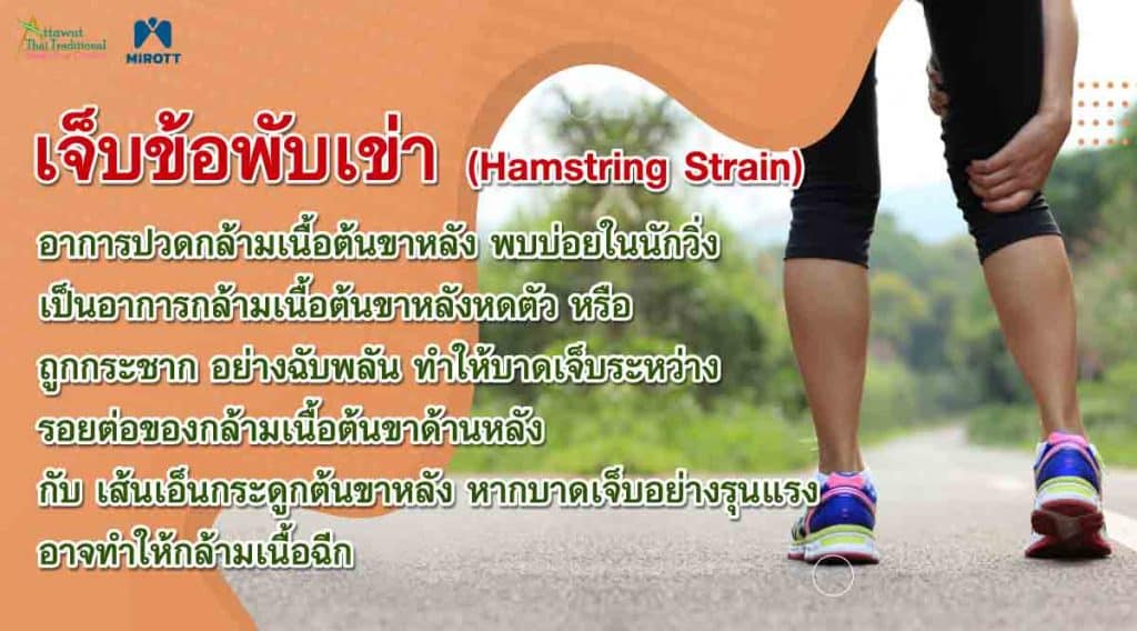 เจ็บข้อพับเข่า (Hamstring Strain) หรือ อาการปวดกล้ามเนื้อต้นขาหลัง เป็นอาการกล้ามเนื้อต้นขาหลังหดตัว หรือ ถูกกระชาก อย่างฉับพลัน ทำให้เกิดการบาดเจ็บระหว่าง รอยต่อของกล้ามเนื้อต้นขาด้านหลัง กับ เส้นเอ็นกระดูกต้นขาหลัง หากได้รับการบาดเจ็บอย่างรุนแรง อาจทำให้กล้ามเนื้อฉีกเลยก็เป็นได้ แต่ส่วนใหญ่มักไม่รุนแรง ซึ่งอาการเหล่านี้พบบ่อยในนักวิ่ง